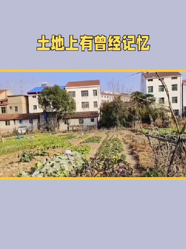 土地上会是什么意思 土地上会是什么意思