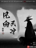 风向天冲的推荐