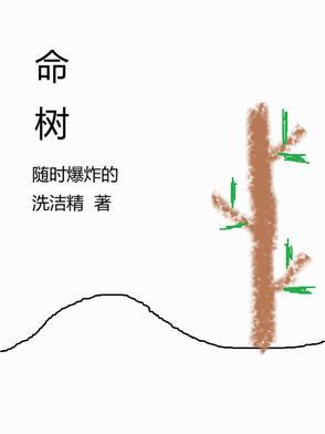 南美生命树 南美生命树