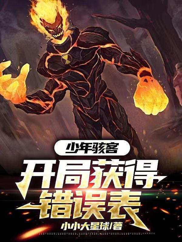 少年骇客一