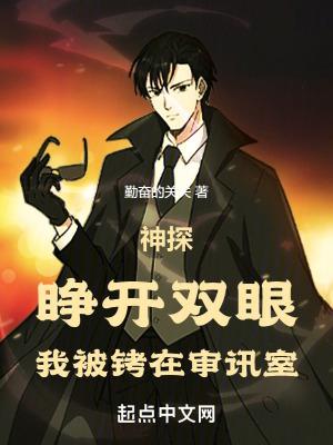 书名神探睁开双眼 书名神探睁开双眼