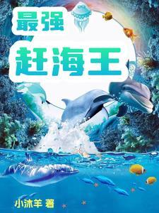 最强赶海王列表 最强赶海王列表
