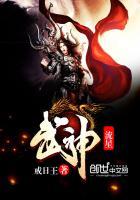 流星武神修为境界