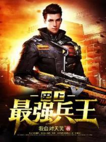 史上最强兵王陈凌全集