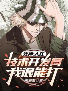 死神之我是一把斩魄刀