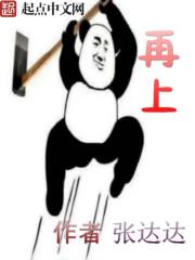 拳坛高手 拳坛高手