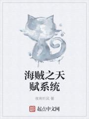 海贼之天赋系统顶点 海贼之天赋系统顶点
