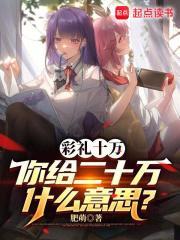 你给二十万什么意思啊 你给二十万什么意思啊