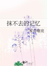 抹不去的回忆作文450字左右 抹不去的回忆作文450字左右