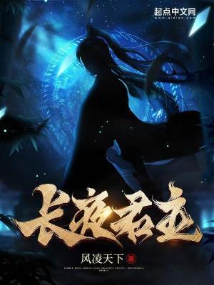 长夜君主境界 长夜君主境界