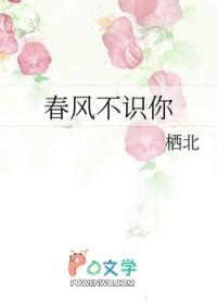 春风不识你 百度 春风不识你 百度