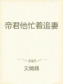 帝君追妻录免费阅读