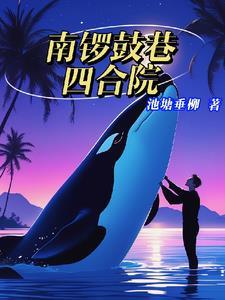 南锣鼓巷四合院参观 南锣鼓巷四合院参观