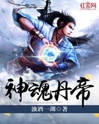神魂丹帝目录全集免费阅读 神魂丹帝目录全集免费阅读