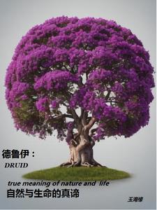 德鲁伊是什么? 德鲁伊是什么?