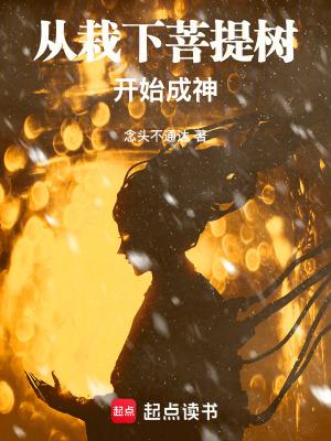 中国有菩提树吗 中国有菩提树吗