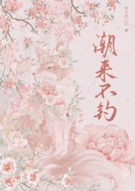 来潮不来桥 来潮不来桥