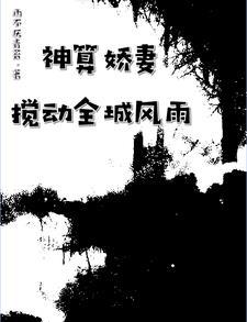 神算俏佳人 神算俏佳人