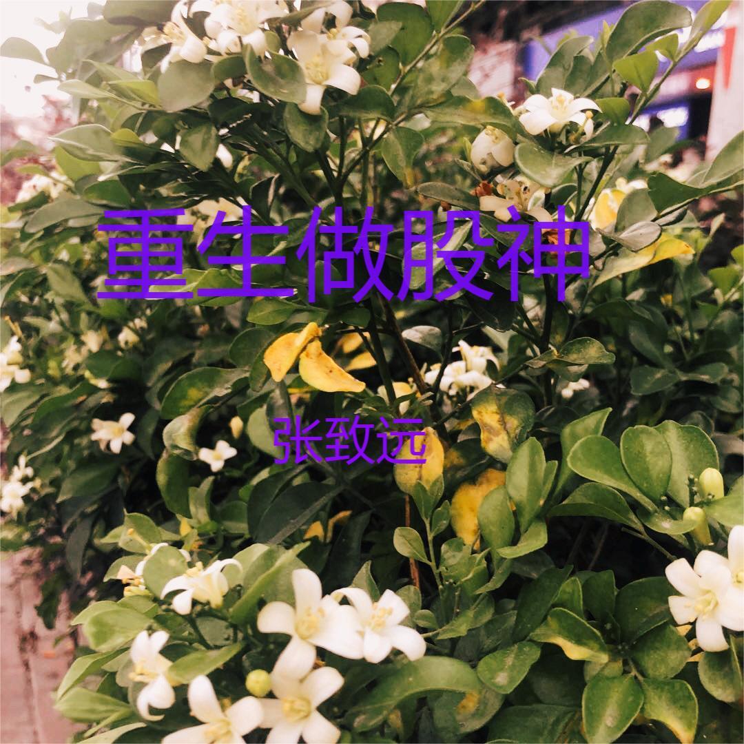 重生 金融