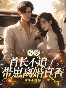 带崽离婚真香苏晚清 带崽离婚真香苏晚清