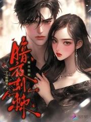暗夜gt 暗夜gt