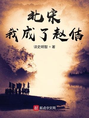 穿越成宋朝赵佶的 穿越成宋朝赵佶的
