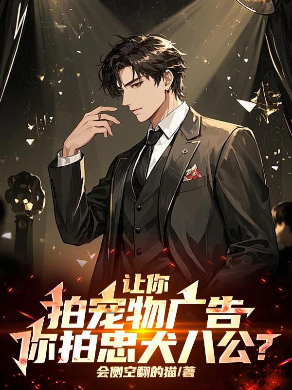 宠物产品拍摄 宠物产品拍摄