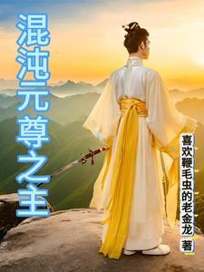混沌尊皇全集 混沌尊皇全集