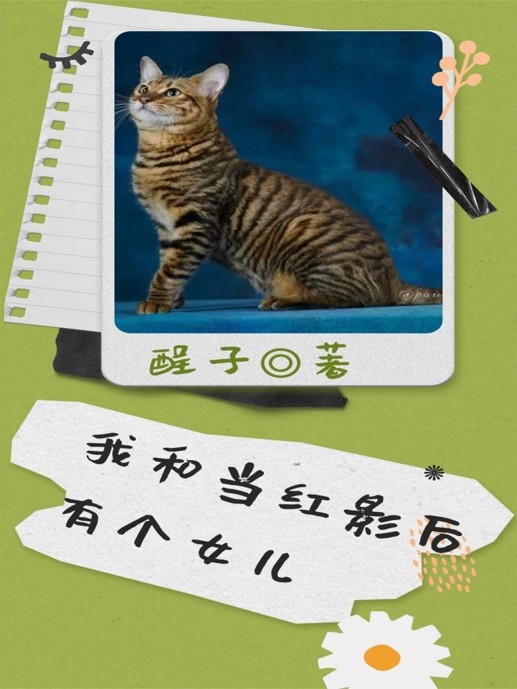 娱乐圈不是你想象的那么简单 娱乐圈不是你想象的那么简单