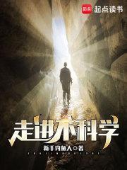 远征军啥意思